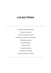 2 Las Bacterias