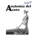 Manual Anatomia-ULTIMO