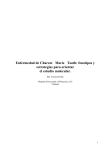 Enfermedad de CharcotMarieTooth: fenotipos y estrategias para
