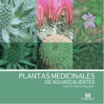 Plantas medicinales de Aguascalientes