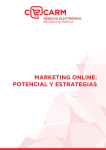 marketing online: potencial y estrategias