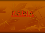 RABIA