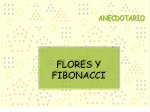 Fibonacci y Flores