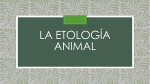 Etologia Animal