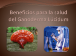 Beneficios para la salud del Ganoderma Lucidum