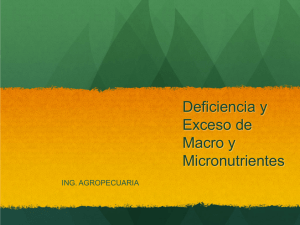 Deficiencia y Exceso de Macro y Micronutrientes