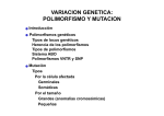 VARIACION GENETICA: POLIMORFISMO Y MUTACION