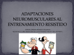 adaptaciones neuromusculares al entrenamiento resistido